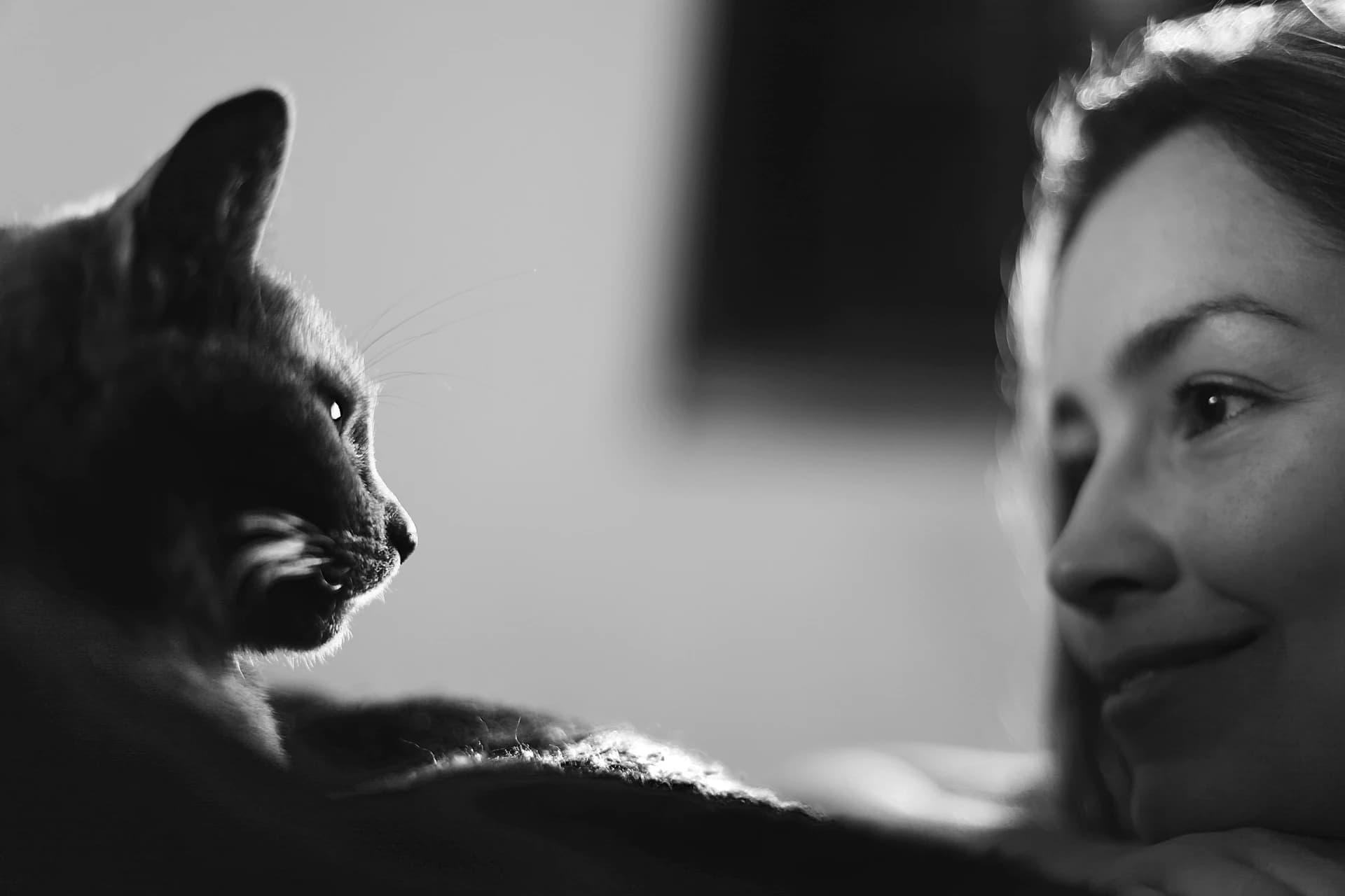 Uma mulher e seu gato preparados para uma viagem internacional segura com a assessoria